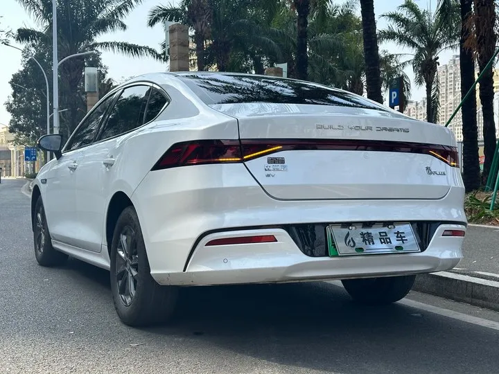 BYD QIN PLUS BEV 47.5KWH 2021