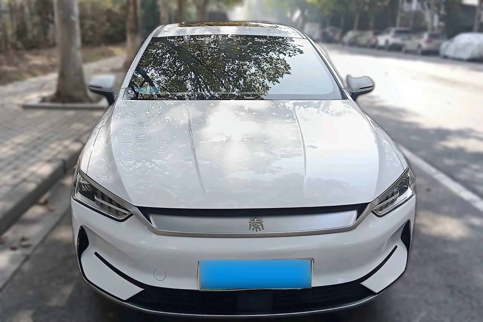 BYD QIN PLUS BEV 57KWH 2021