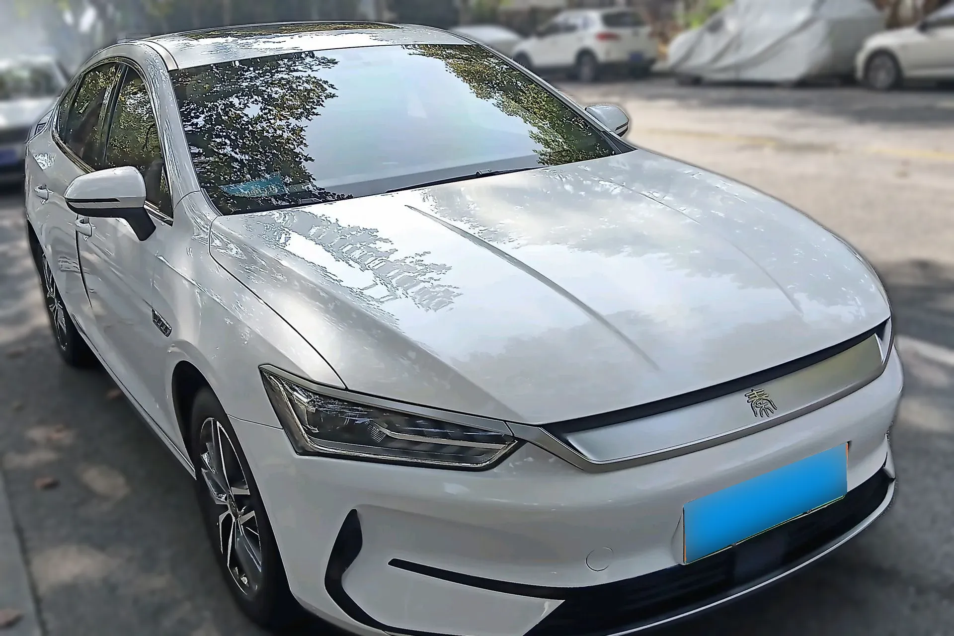 BYD QIN PLUS BEV 57KWH 2021